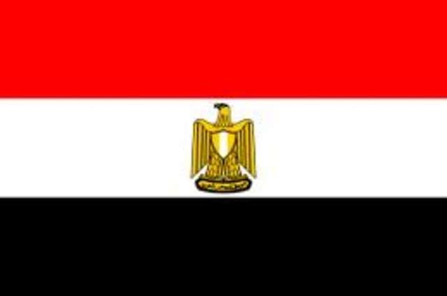 The Egyptian Revolution