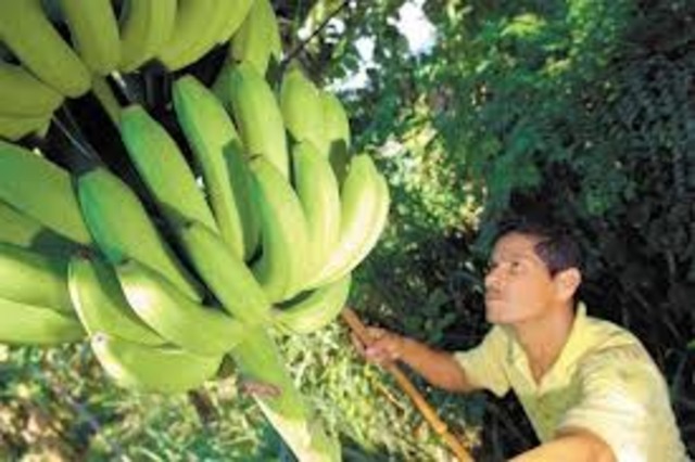 FARC detien bus de campesinos