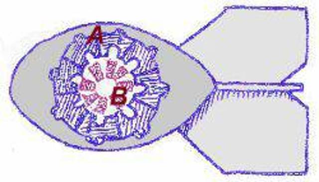 atomic bombs in the WWII