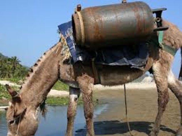 Burro Bomba de las FARC.