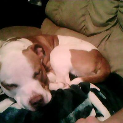 Timeline: Atomic Model Timeline