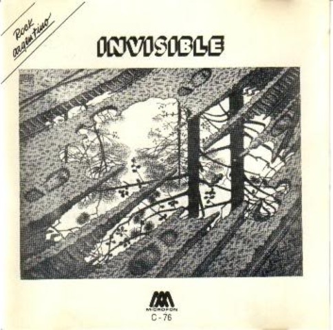 Invisible