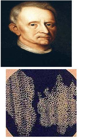 Robert Hooke