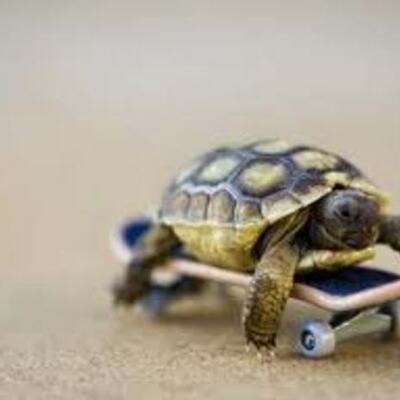 Timeline: Jessica's timetoast 2012