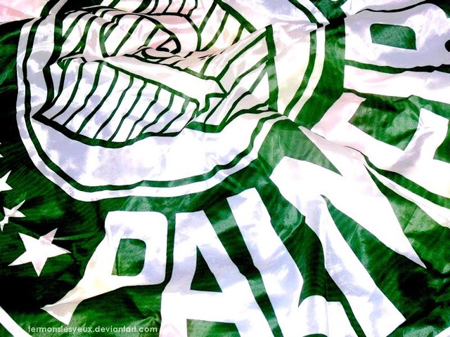 Palmeiras campeão da Copa do Brasil 2012 !