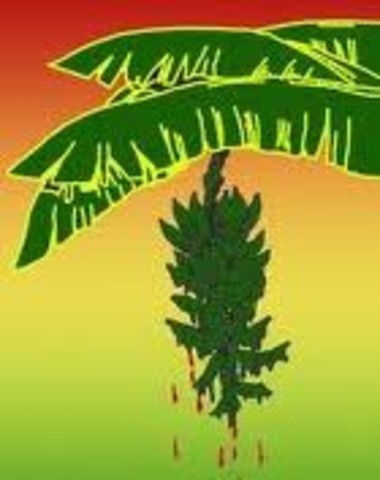 LA MASACRE DE LAS BANANERAS