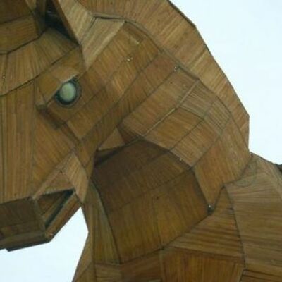 Timeline: the trojan horse