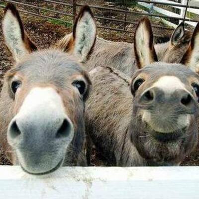 Timeline: наша группа