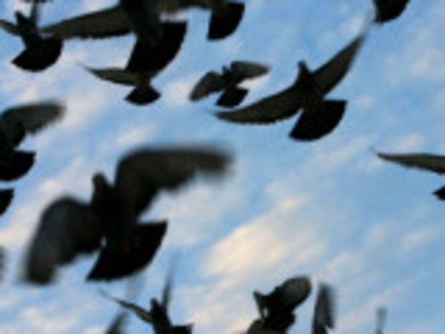 Colombus changes course