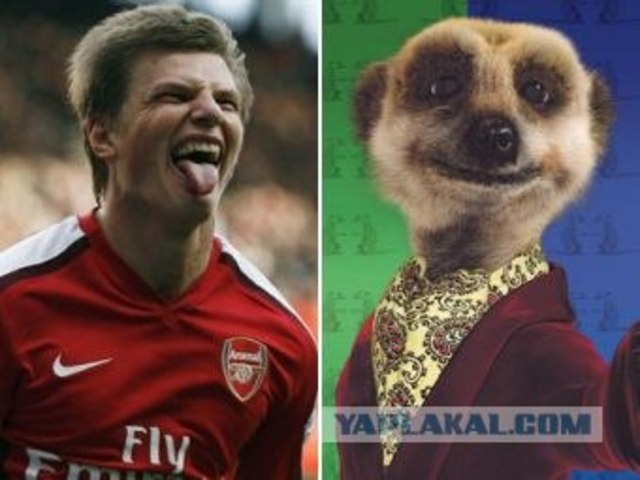 Статус Аршавина