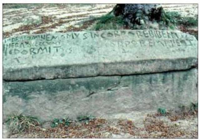 Akitaniako lekukotasunak