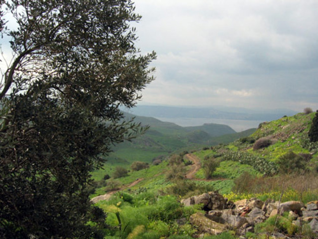 Golan Heights