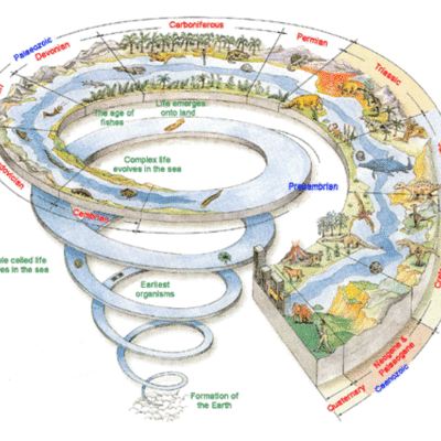 Timeline: SAA! SAA! EARTH"S TIMELINE IS HERE! BY ZEKE COHEN AND ERIC PETERSON