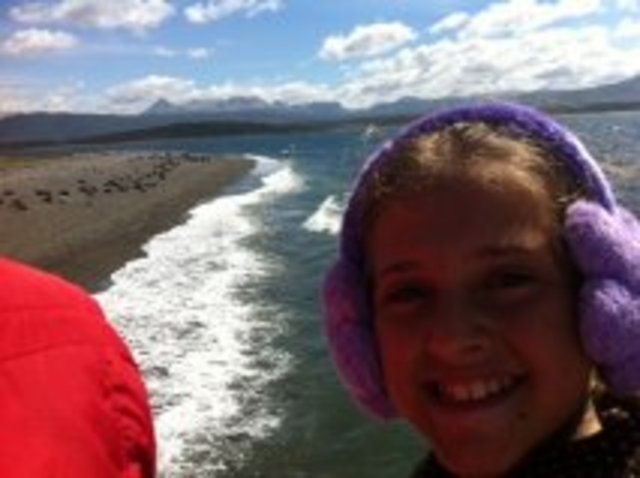 Visitando os pinguins