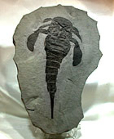 Silurian