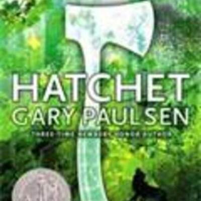 Timeline: Hatchet Timeline - Tighe