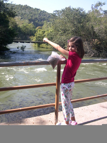 Alimentando od peixes