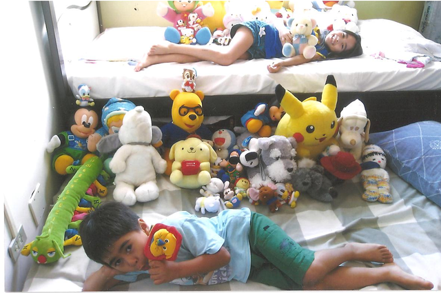 Meus bichinhos de pelúcia (Amanda)