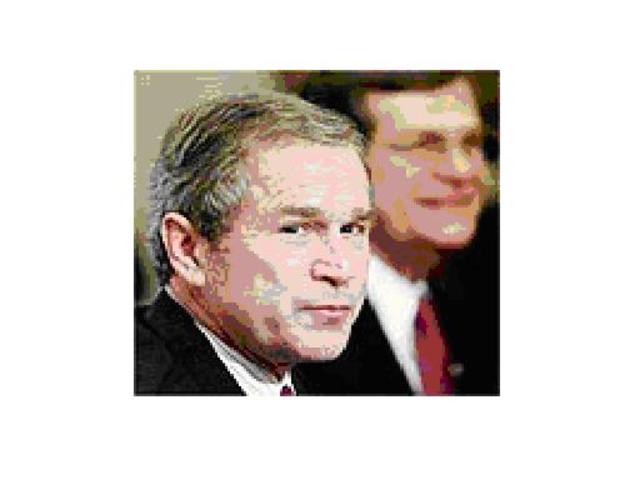 Início do governo Bush