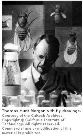 Thomas Hunt Morgan