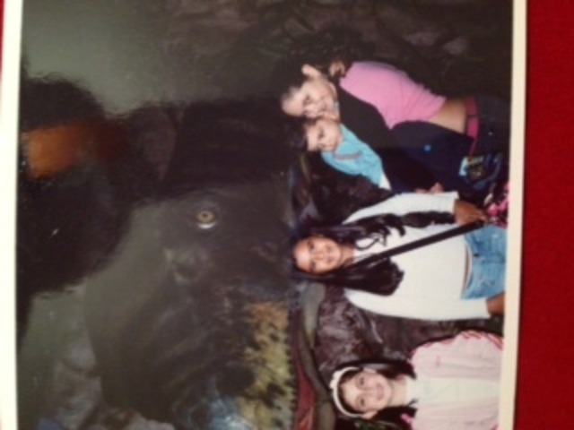 (Victória) Visitao ao Aquário- 7 anos