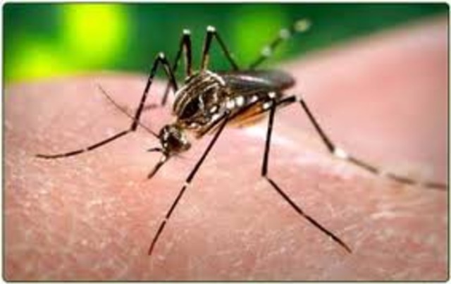 Mais armas no combate à malária