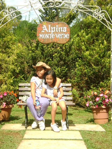 fomos para o campo verde