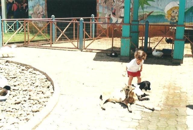 Fazendinha do Beto Carreiro (Letícia)