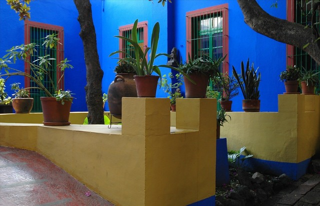 The Blue House Opening!