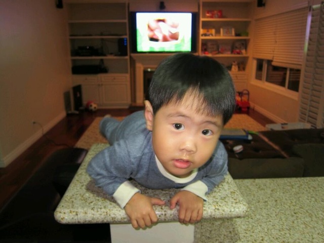 Nascimento do meu primo