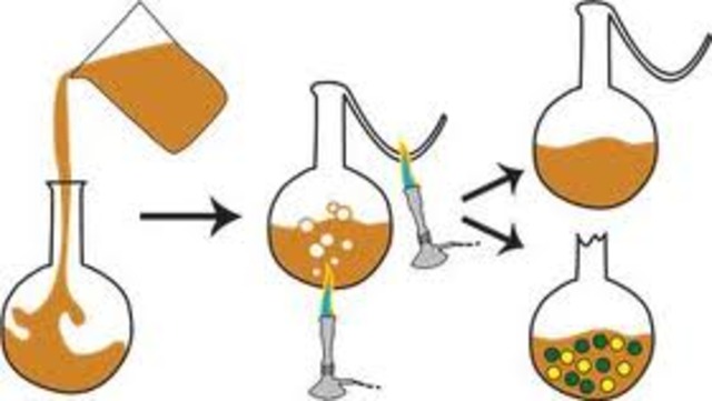 John Needham's Experiment (Abiogenesis)