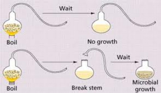 Lazzaro Spallanzani's Experiment (Biogenesis)