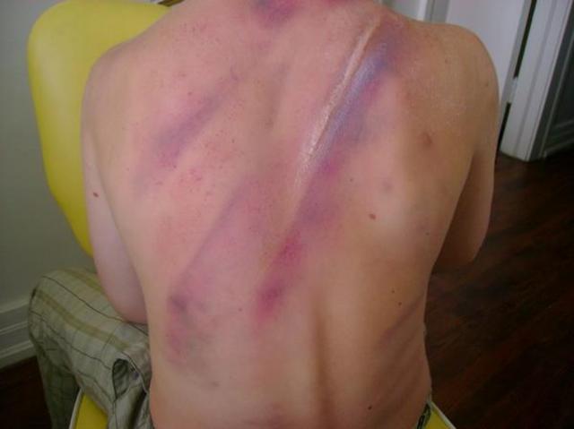 Brew and Bronte go for a swim