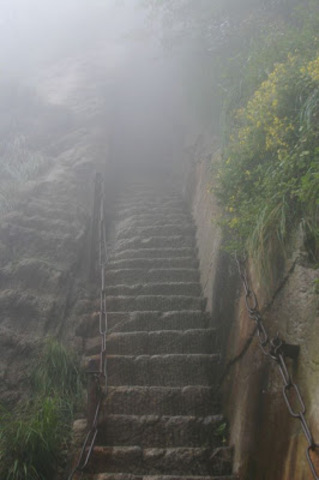 The Grand Staircase in the Blue Mountins