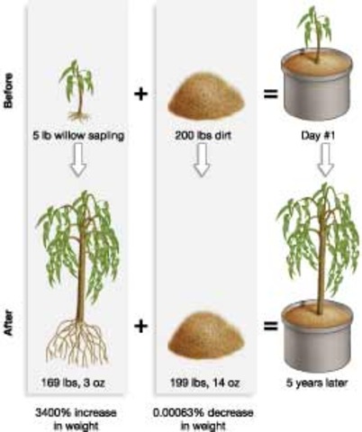 Jean-Baptiste van Helmont's Experiment