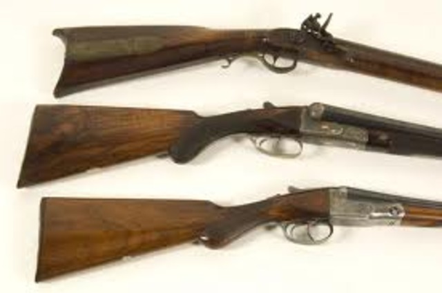 First guns appeared in Europe