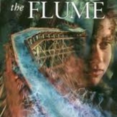 Timeline: Riding The Flume