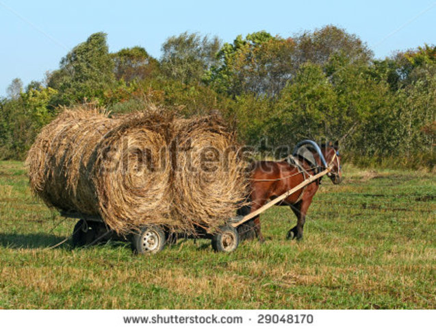 Joey starts working.