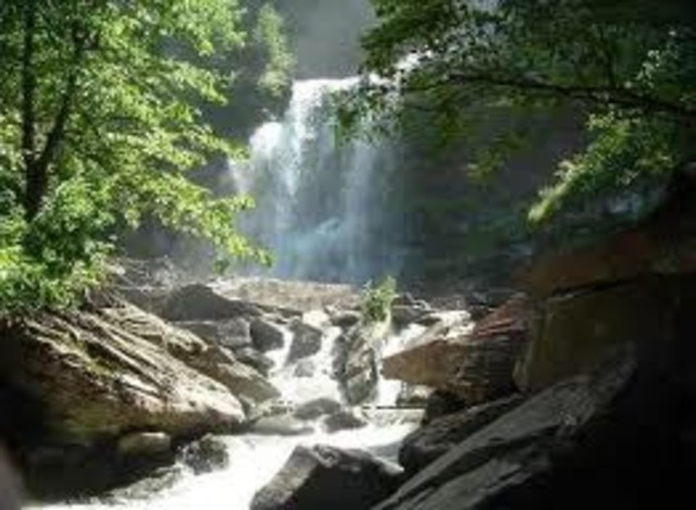 Francoise and Art stayed with Valdek