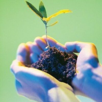 Timeline: Tiempo probable para logro de los objetivos