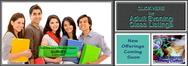 Executive Director of Adult Education Association of the USA, Chicago