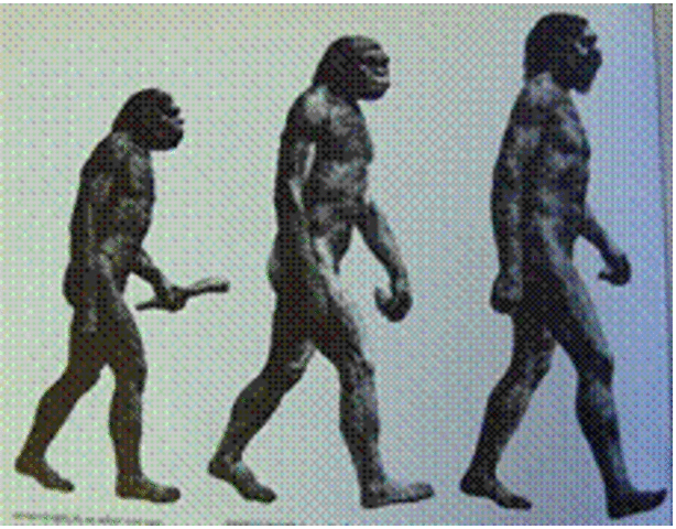 Cenozoic Era - Quaternary