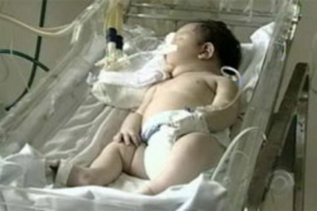 nascimento(fernando)