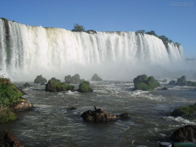 Natal Divertido- Gustavo