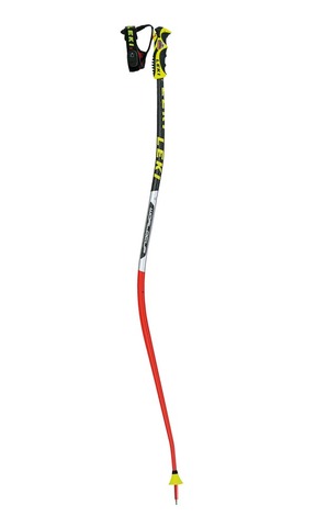 I got my first pair of ski poles