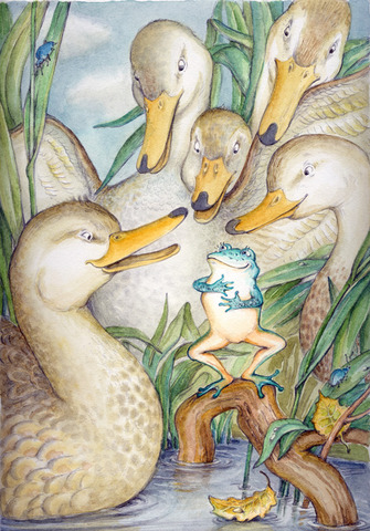 Лягушка-путешественница