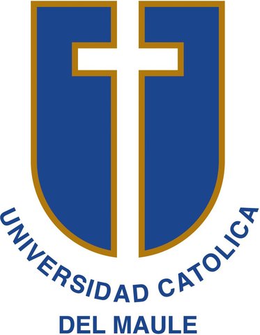 Trabajo social en la universidad