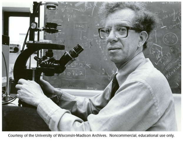 Howard Temin and David Baltimore