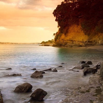 Timeline: D'artagnans lol reasearch