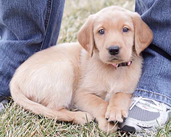 Bella Joins our Family